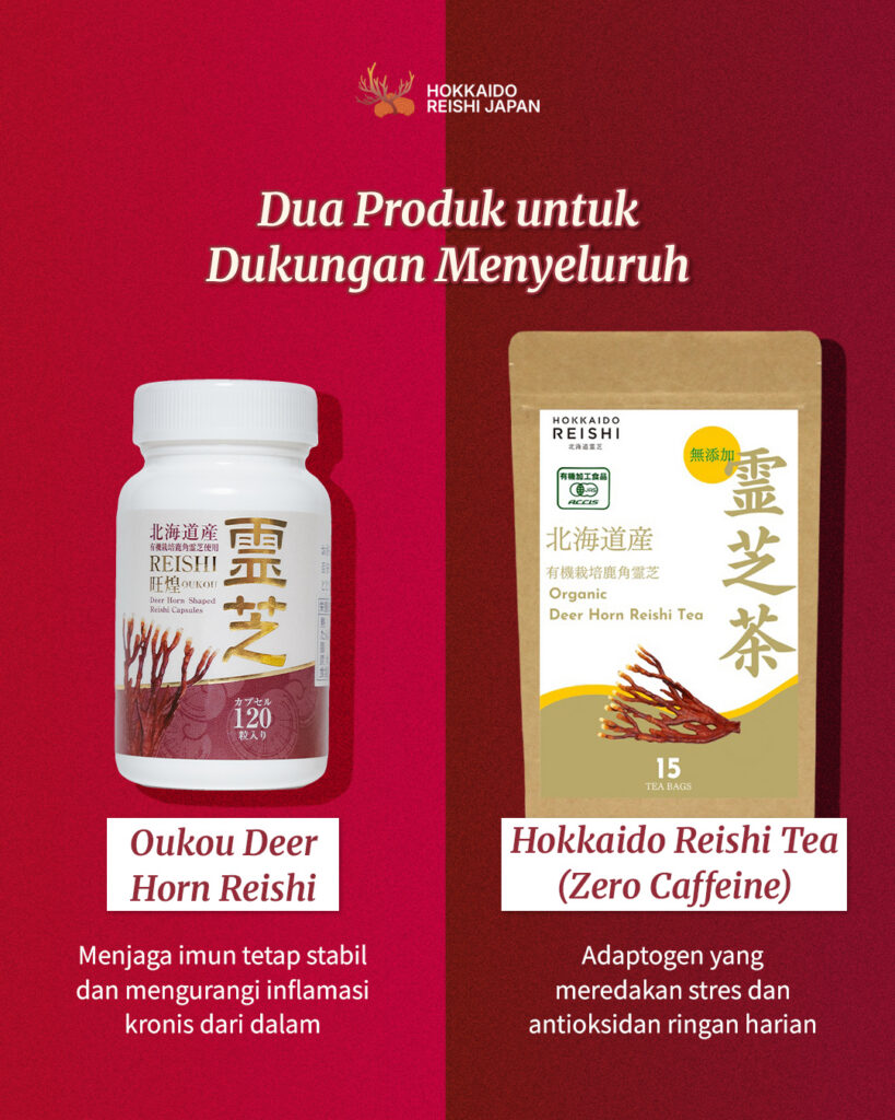 DEER HORN REISHI TEA-Cegah inflamasi